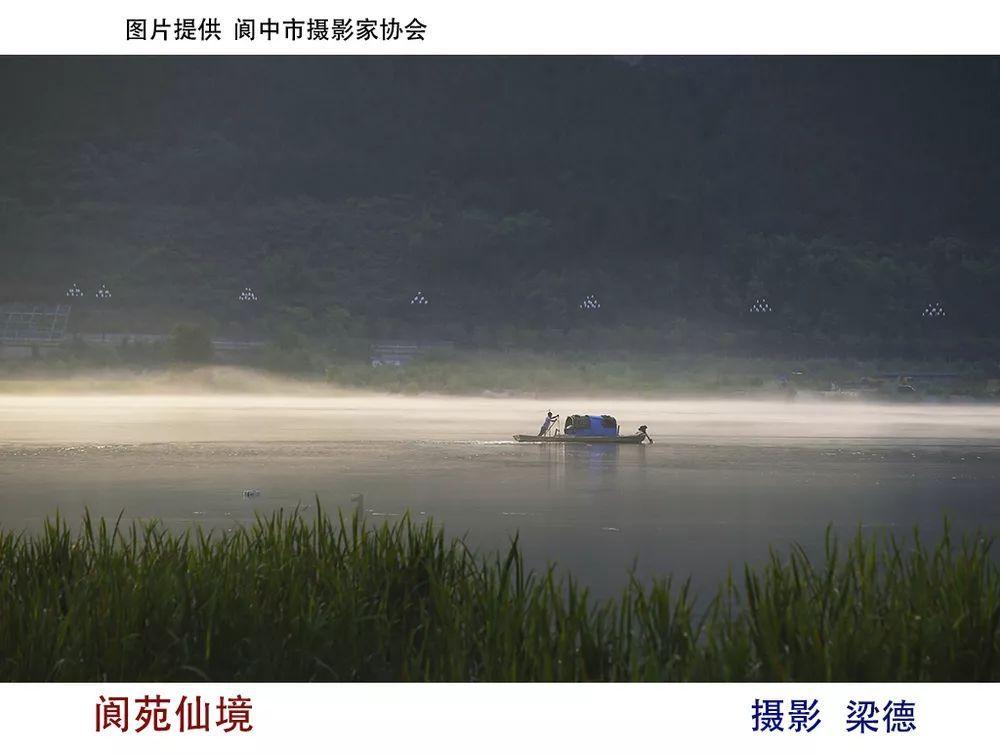 海蜇有什么作用？