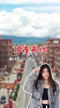 解救金刚鹦鹉