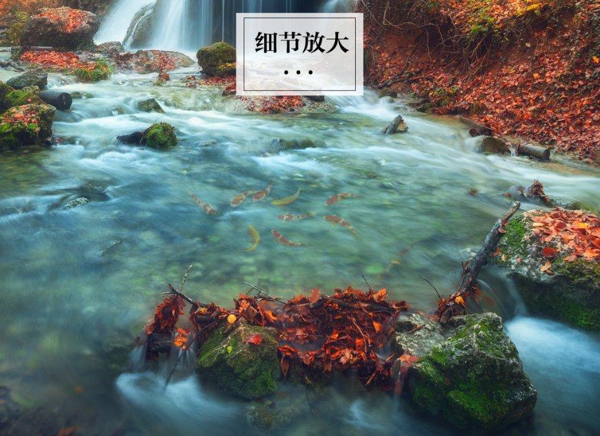 索菲亚清洁公园